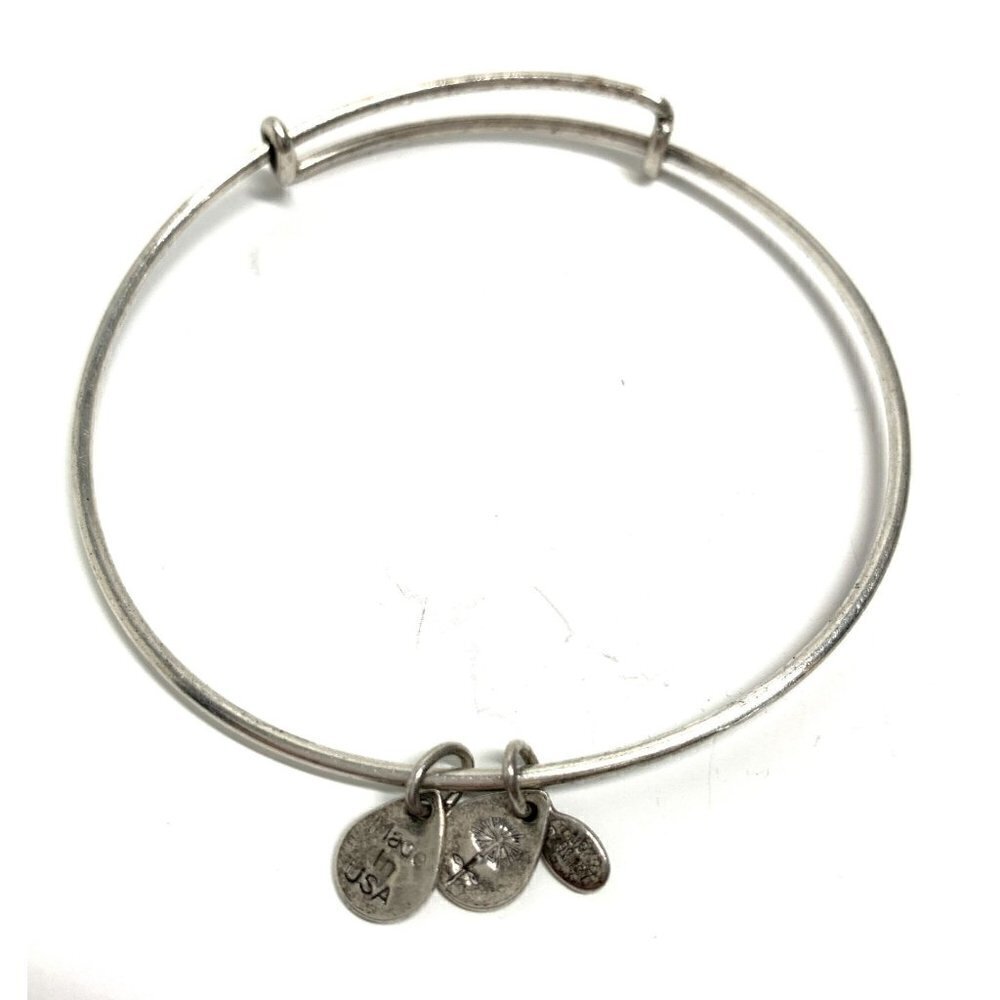 Alex and Ani Charm Station Bracelet Silver Finish - Expands 2"- 3.5"